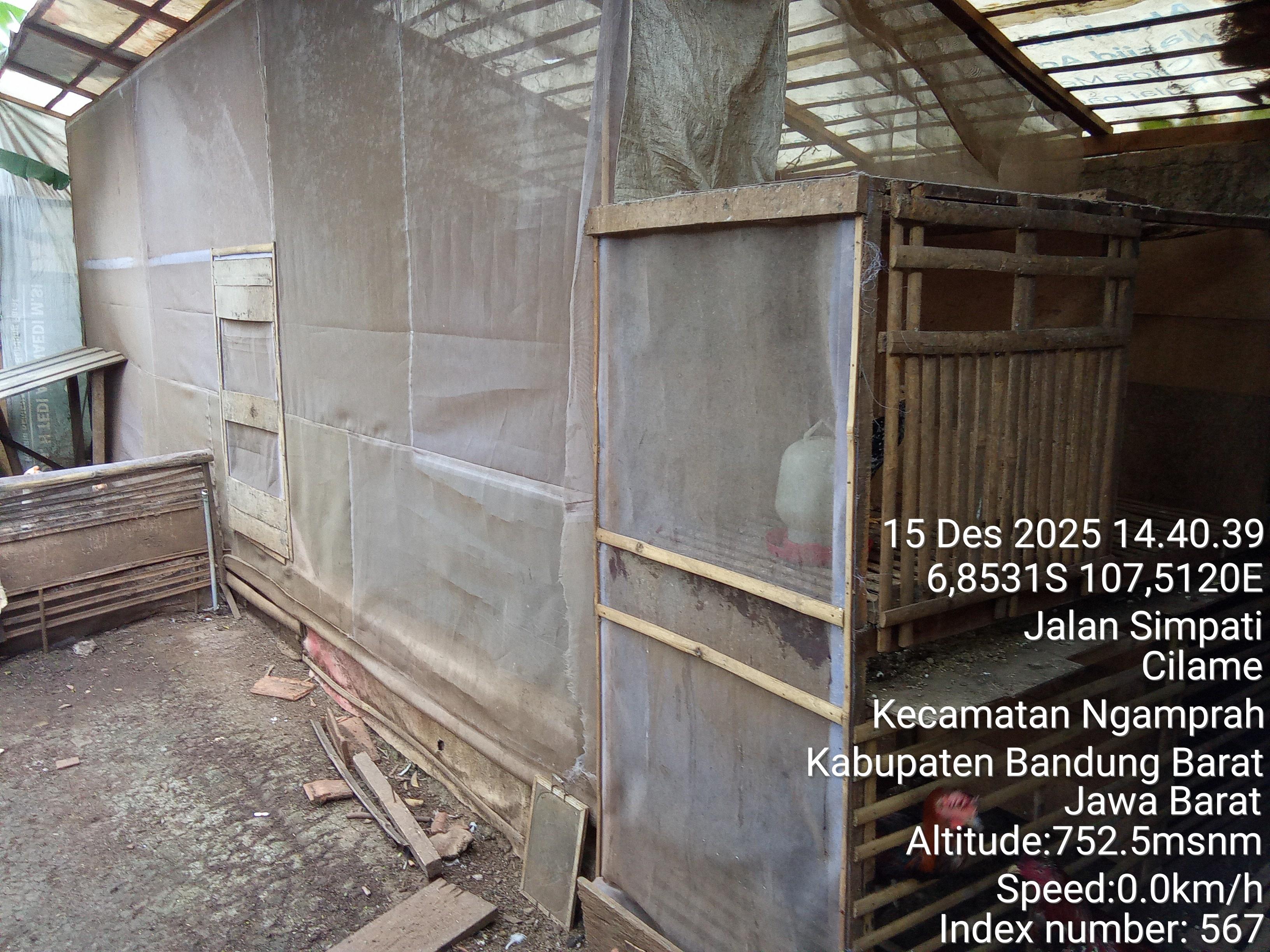 Kelompok ayam petelur Simpati Bersatu